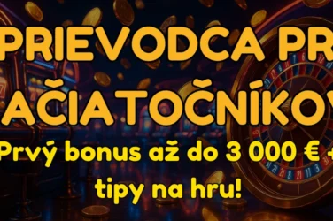 sprievodca pre začiatočníkov featured image