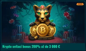 Krypto uvítací balík: 200% Bonus až do  3 000 €!